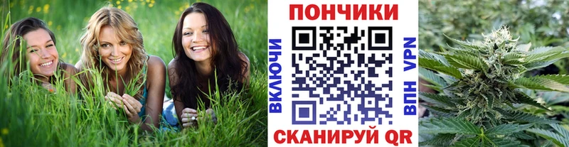 дарк нет официальный сайт  Гусиноозёрск  Конопля индика 